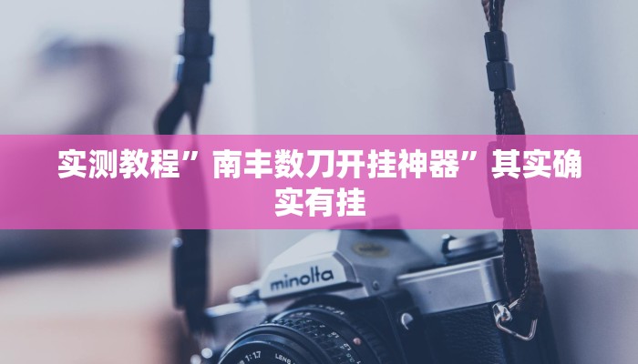 实测教程”南丰数刀开挂神器”其实确实有挂