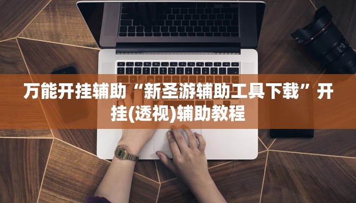 万能开挂辅助“新圣游辅助工具下载”开挂(透视)辅助教程