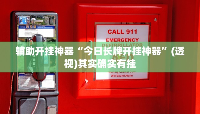 辅助开挂神器“今日长牌开挂神器”(透视)其实确实有挂