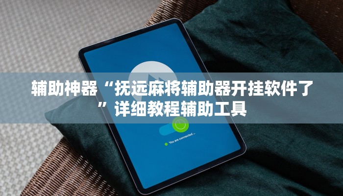 辅助神器“抚远麻将辅助器开挂软件了”详细教程辅助工具