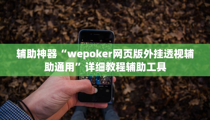 辅助神器“wepoker网页版外挂透视辅助通用”详细教程辅助工具