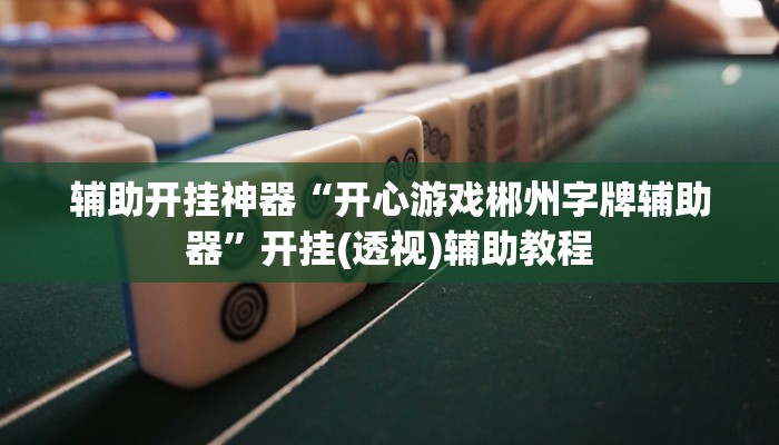 辅助开挂神器“开心游戏郴州字牌辅助器”开挂(透视)辅助教程