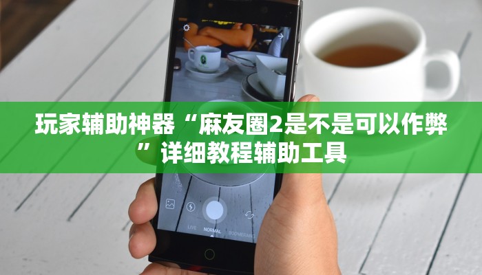 玩家辅助神器“麻友圈2是不是可以作弊”详细教程辅助工具