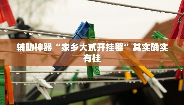 辅助神器“家乡大贰开挂器”其实确实有挂