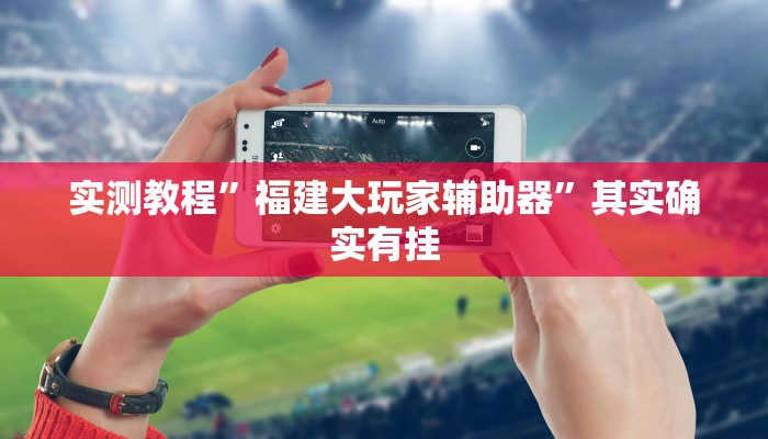 实测教程”福建大玩家辅助器”其实确实有挂