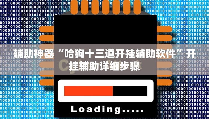 辅助神器“哈狗十三道开挂辅助软件”开挂辅助详细步骤 辅助神器“哈狗十三道开挂辅助软件”开挂辅助详细步骤