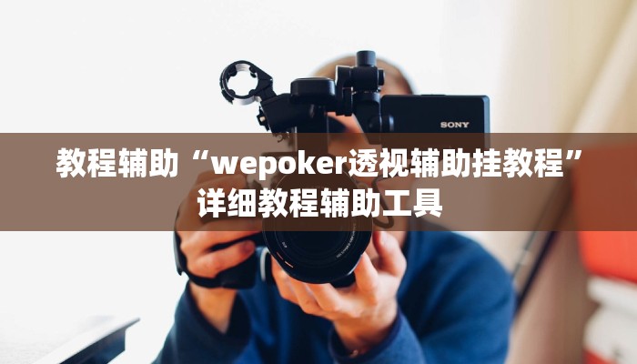 教程辅助“wepoker透视辅助挂教程”详细教程辅助工具