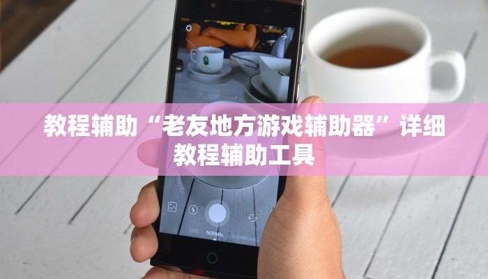 教程辅助“老友地方游戏辅助器”详细教程辅助工具