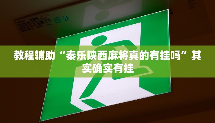 教程辅助“秦乐陕西麻将真的有挂吗”其实确实有挂 教程辅助“秦乐陕西麻将真的有挂吗”其实确实有挂