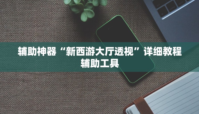 辅助神器“新西游大厅透视”详细教程辅助工具