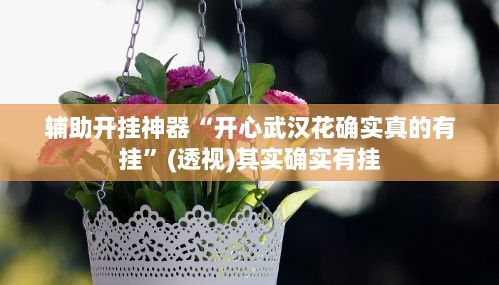 辅助开挂神器“开心武汉花确实真的有挂”(透视)其实确实有挂