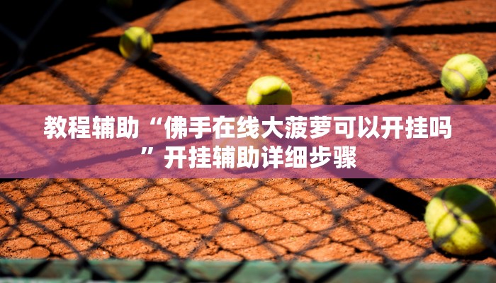 教程辅助“佛手在线大菠萝可以开挂吗”开挂辅助详细步骤