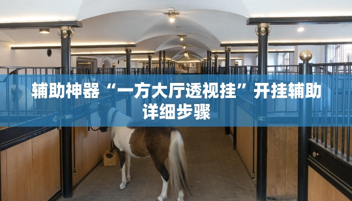 辅助神器“一方大厅透视挂”开挂辅助详细步骤