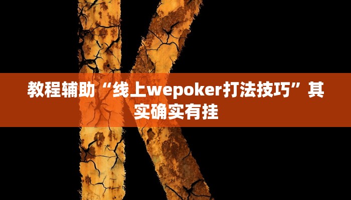 教程辅助“线上wepoker打法技巧”其实确实有挂