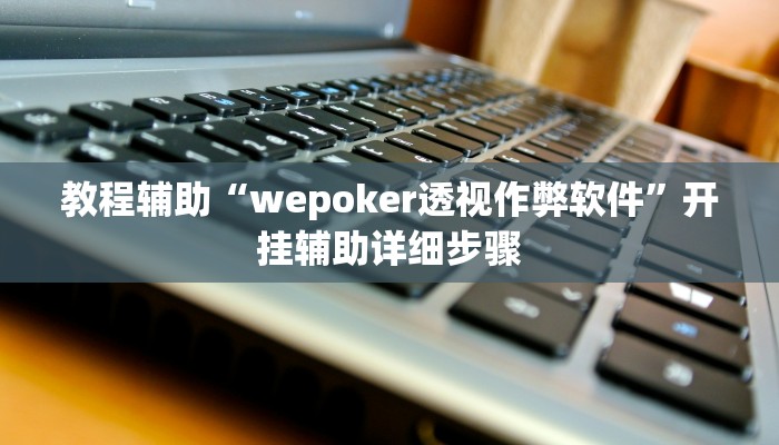 教程辅助“wepoker透视作弊软件”开挂辅助详细步骤