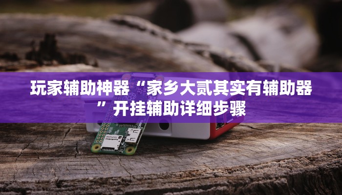 玩家辅助神器“家乡大贰其实有辅助器”开挂辅助详细步骤 玩家辅助神器“家乡大贰其实有辅助器”开挂辅助详细步骤