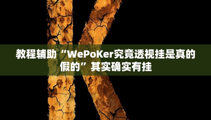教程辅助“WePoKer究竟透视挂是真的假的”其实确实有挂