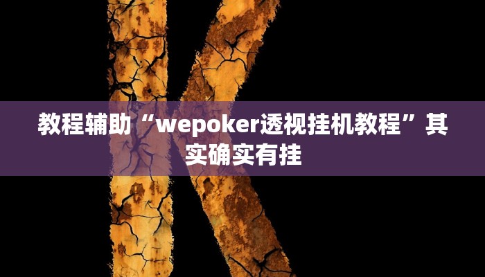 教程辅助“wepoker透视挂机教程”其实确实有挂