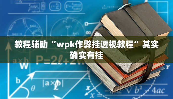 教程辅助“wpk作弊挂透视教程”其实确实有挂