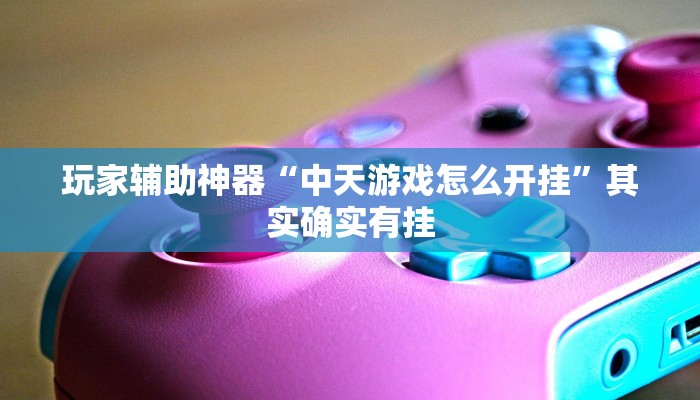 玩家辅助神器“中天游戏怎么开挂”其实确实有挂