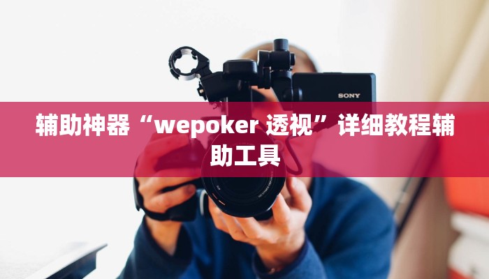 辅助神器“wepoker 透视”详细教程辅助工具
