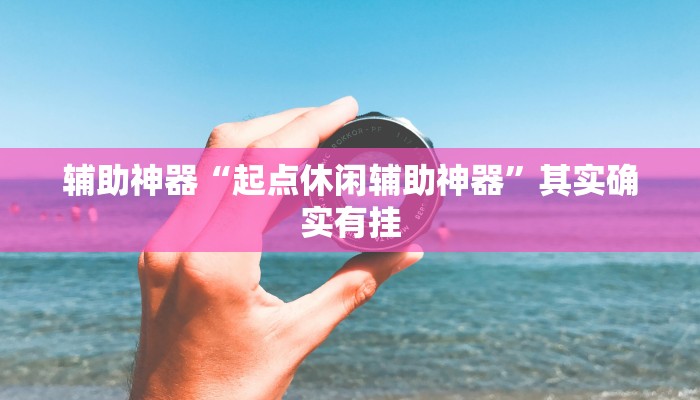 辅助神器“起点休闲辅助神器”其实确实有挂 辅助神器“起点休闲辅助神器”其实确实有挂