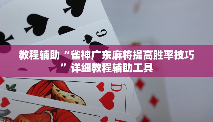 教程辅助“雀神广东麻将提高胜率技巧”详细教程辅助工具