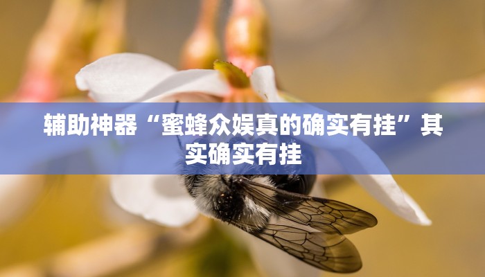 辅助神器“蜜蜂众娱真的确实有挂”其实确实有挂 辅助神器“蜜蜂众娱真的确实有挂”其实确实有挂
