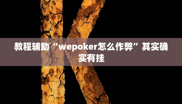 教程辅助“wepoker怎么作弊”其实确实有挂