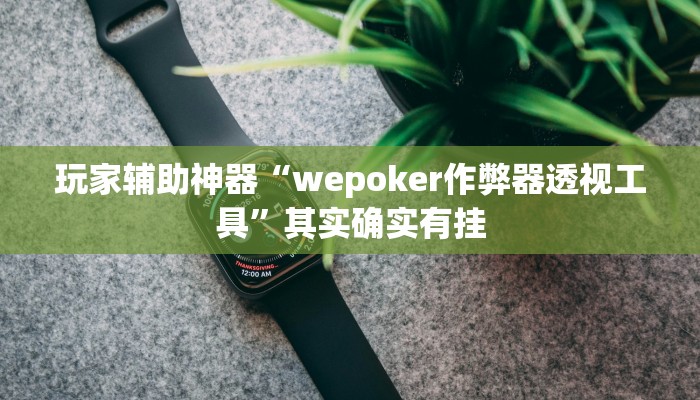 玩家辅助神器“wepoker作弊器透视工具”其实确实有挂