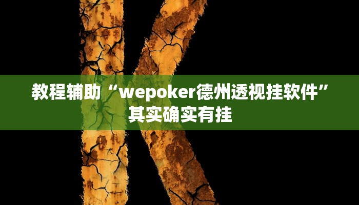 教程辅助“wepoker德州透视挂软件”其实确实有挂