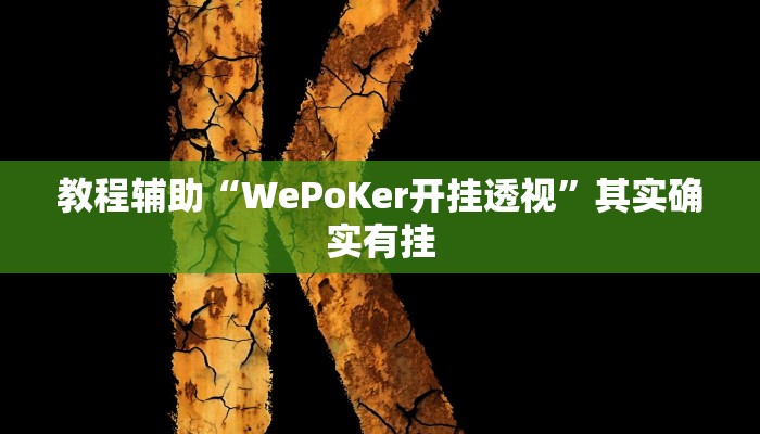 教程辅助“WePoKer开挂透视”其实确实有挂