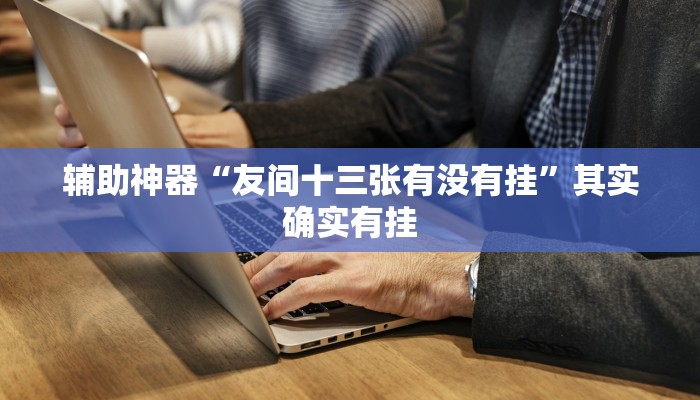 辅助神器“友间十三张有没有挂”其实确实有挂