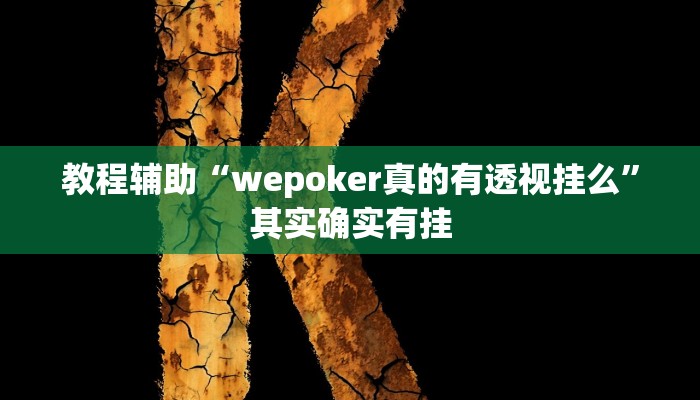 教程辅助“wepoker真的有透视挂么”其实确实有挂