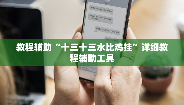 教程辅助“十三十三水比鸡挂”详细教程辅助工具