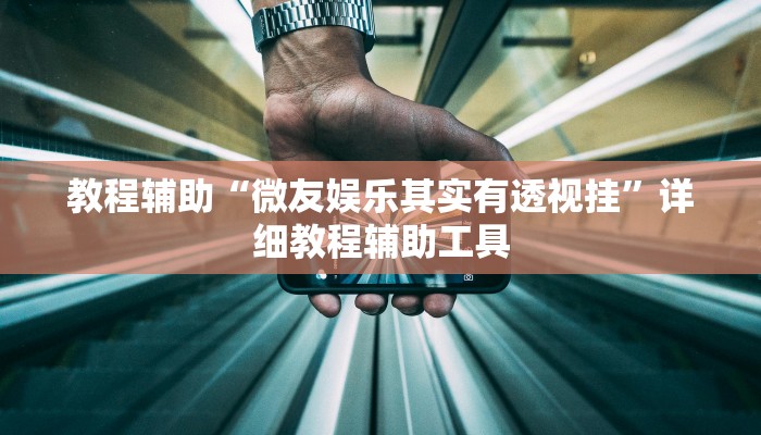 教程辅助“微友娱乐其实有透视挂”详细教程辅助工具