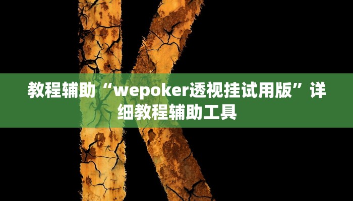 教程辅助“wepoker透视挂试用版”详细教程辅助工具