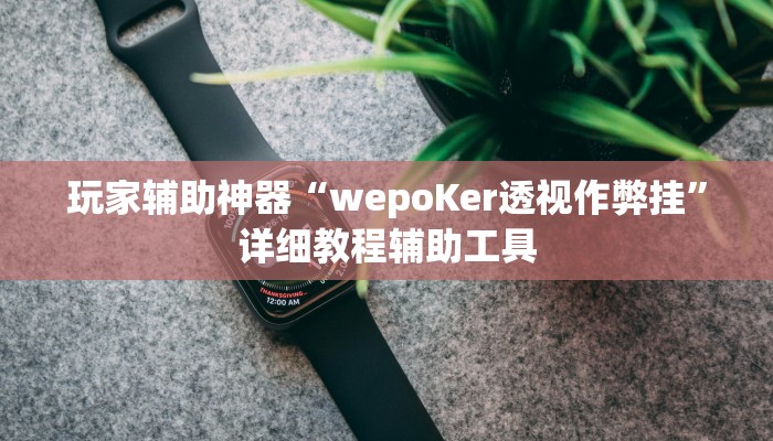 玩家辅助神器“wepoKer透视作弊挂”详细教程辅助工具 玩家辅助神器“wepoKer透视作弊挂”详细教程辅助工具