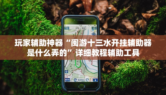 玩家辅助神器“闽游十三水开挂辅助器是什么弄的”详细教程辅助工具