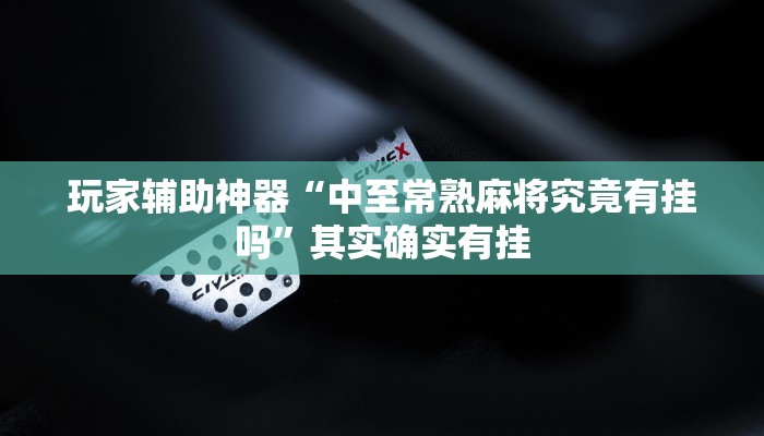 玩家辅助神器“中至常熟麻将究竟有挂吗”其实确实有挂