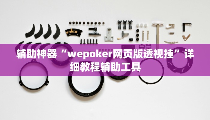 辅助神器“wepoker网页版透视挂”详细教程辅助工具