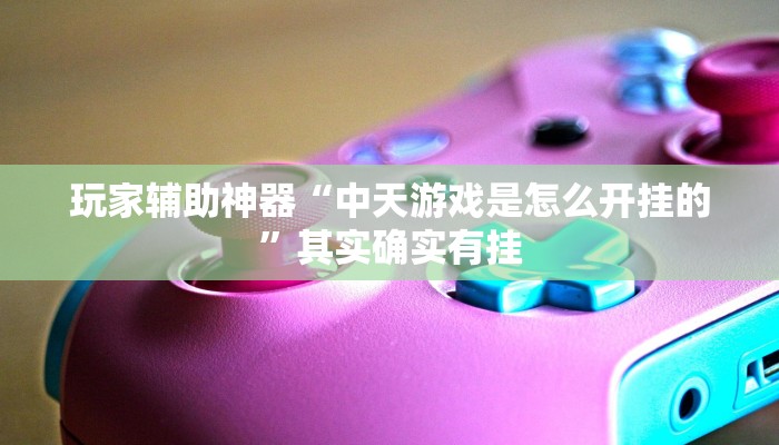 玩家辅助神器“中天游戏是怎么开挂的”其实确实有挂