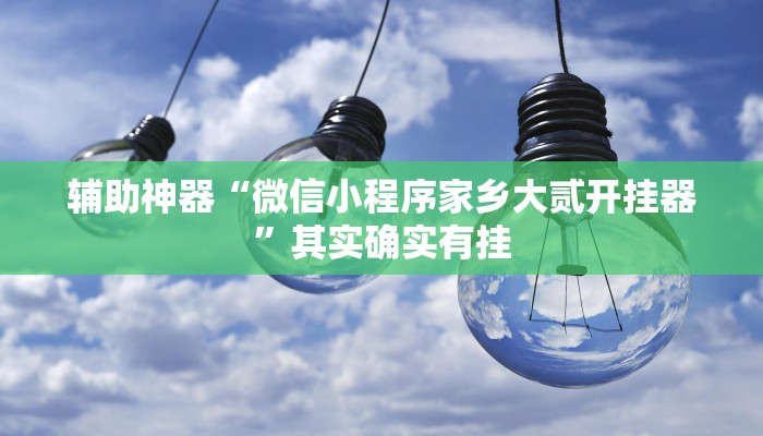 辅助神器“微信小程序家乡大贰开挂器”其实确实有挂 辅助神器“微信小程序家乡大贰开挂器”其实确实有挂