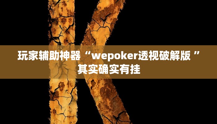 玩家辅助神器“wepoker透视破解版 ”其实确实有挂