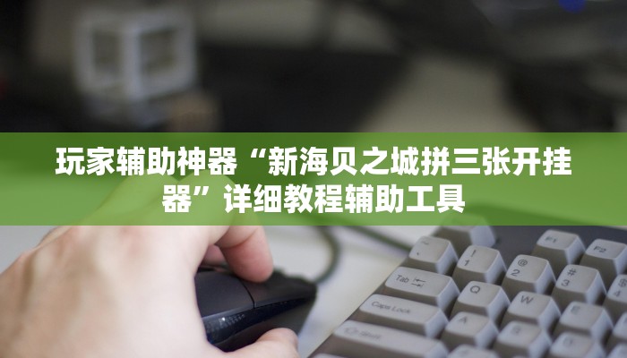玩家辅助神器“新海贝之城拼三张开挂器”详细教程辅助工具