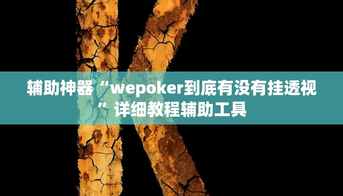 辅助神器“wepoker到底有没有挂透视”详细教程辅助工具