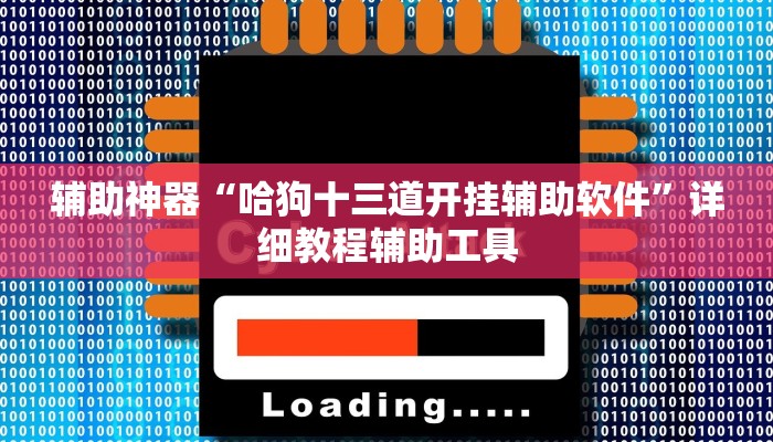 辅助神器“哈狗十三道开挂辅助软件”详细教程辅助工具