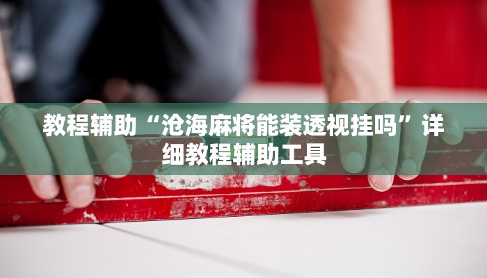 教程辅助“沧海麻将能装透视挂吗”详细教程辅助工具