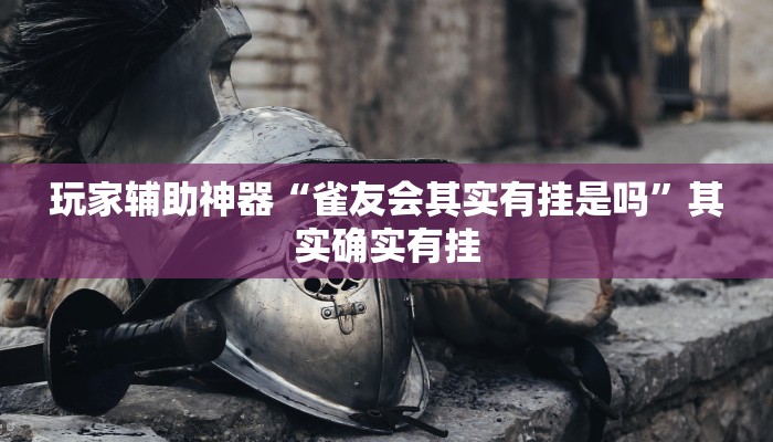 玩家辅助神器“雀友会其实有挂是吗”其实确实有挂