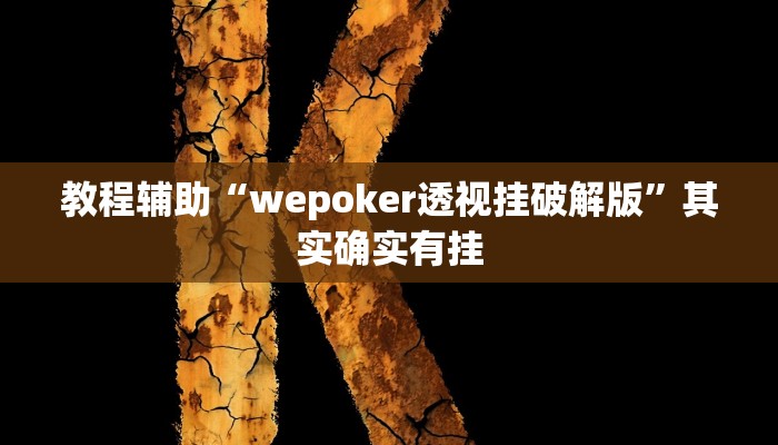 教程辅助“wepoker透视挂破解版”其实确实有挂